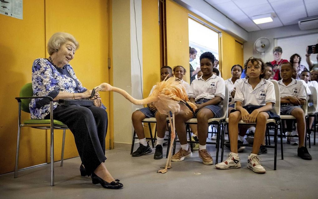 ‘Ontmoeting’ met een flamingo. beeld ANP, Koen van Weel