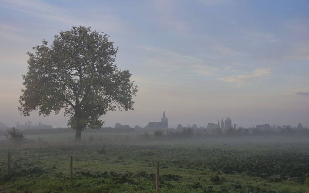 „Laten we allen vrede nastreven, vrede zoeken, vrede navolgen, vrede najagen, en de God des vredes zal met ons zijn.” beeld iStock, GanzTwins