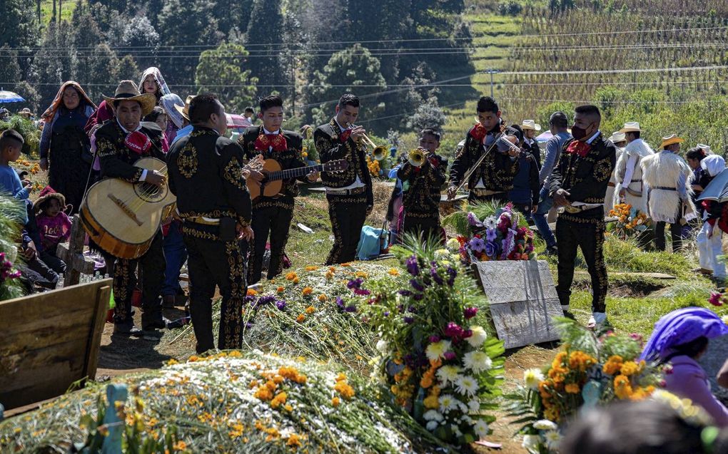 Inheemse muzikanten in Mexico dragen een serenade op aan overleden familieleden tijdens de Dag van de Doden. beeld EPA, Carlos Lopez