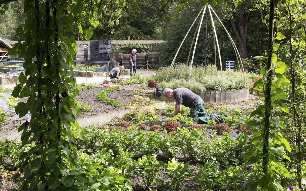 „Tuinieren is een mooie, rustgevende manier van gezonde ontspanning waarbij je leert hoe de bodem bewerkt moet worden, water opgevangen enzovoort.” beeld RD, Anton Dommerholt