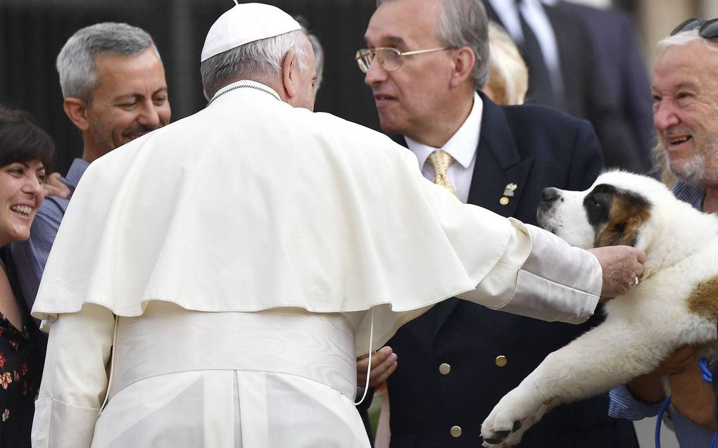 Paus aait hond.  beeld AFP, Alberto Pizzoli