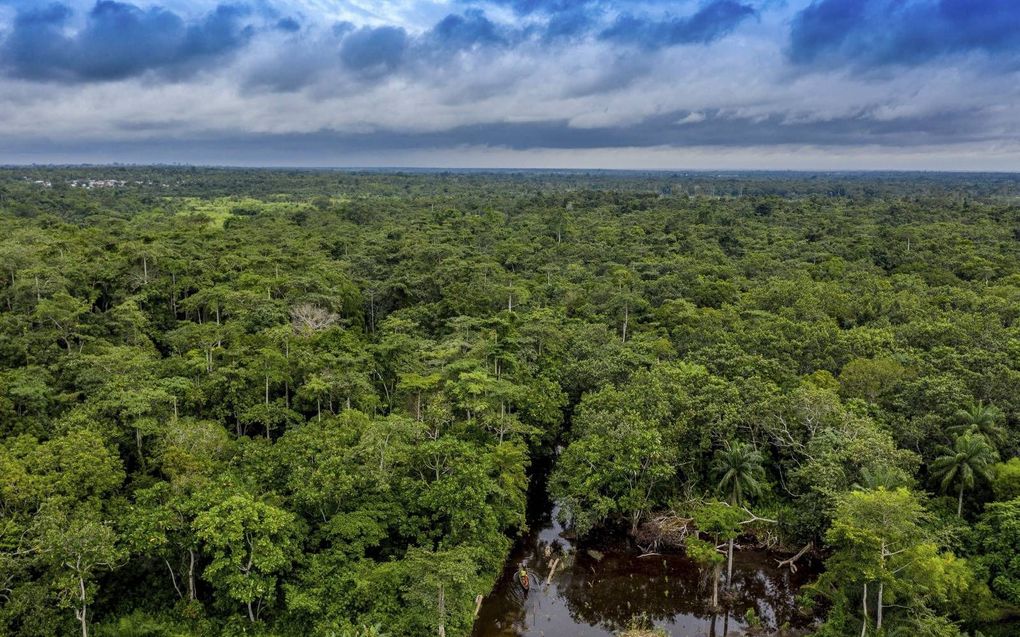 De ecologische voetafdruk van met name het Westen heeft onder meer zijn weerslag op grote regenwouden elders in de wereld. beeld AFP, Yanick Folly