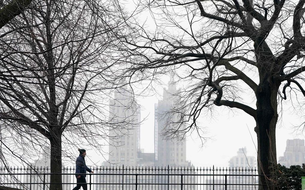 New York. beeld AFP, Timothy A. Clary