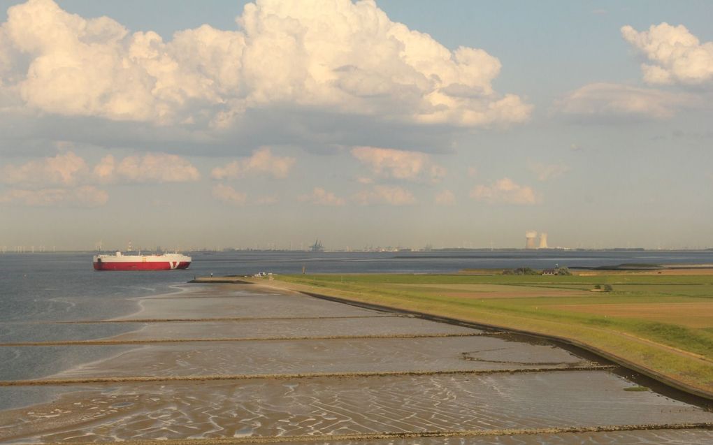 Westerschelde met Antwerpen op de achtergrond. beeld iStock