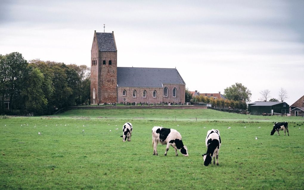 De kerk in het Friese Wanswerd kreeg 13.628 euro subsidie voor de restauratie van het uurwerk, het aandrijfwerk en de wijzerplaten. beeld Sjaak Verboom