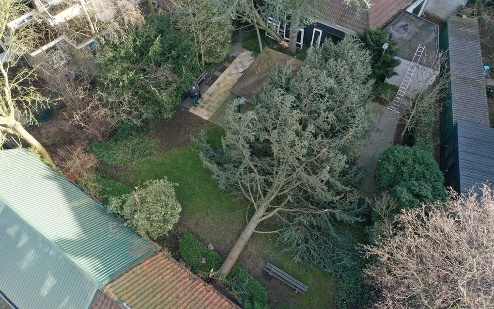 De storm van vrijdag velde een boom in de tuin van evangelisatiepost “In de Gouwstraat” in Rotterdam. Een van de bomen is op de overkapping van het terras gevallen, de andere gedeeltelijk op de kerkzaal van de post. beeld K. Kats