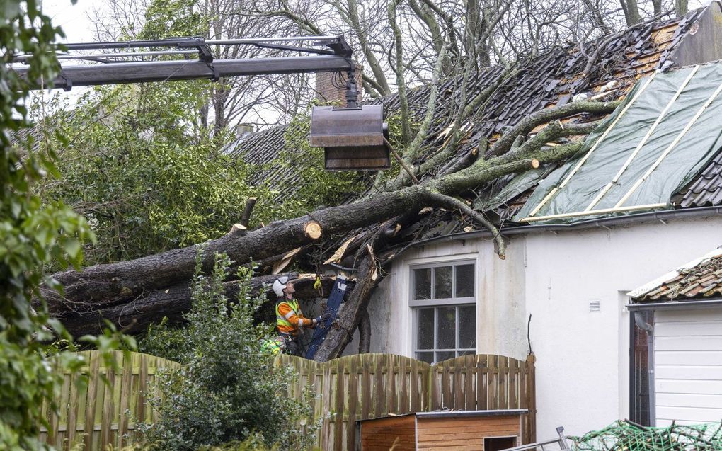 Stormschade in Haarlem. beeld ANP, Michel van Bergen