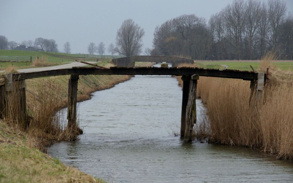 Gronings landschap. beeld Marianne Witvliet