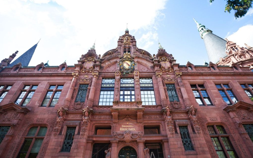 De universiteit van Heidelberg, waar zowel Willem Lodewijk als Maurits studeerde. beeld Getty Images