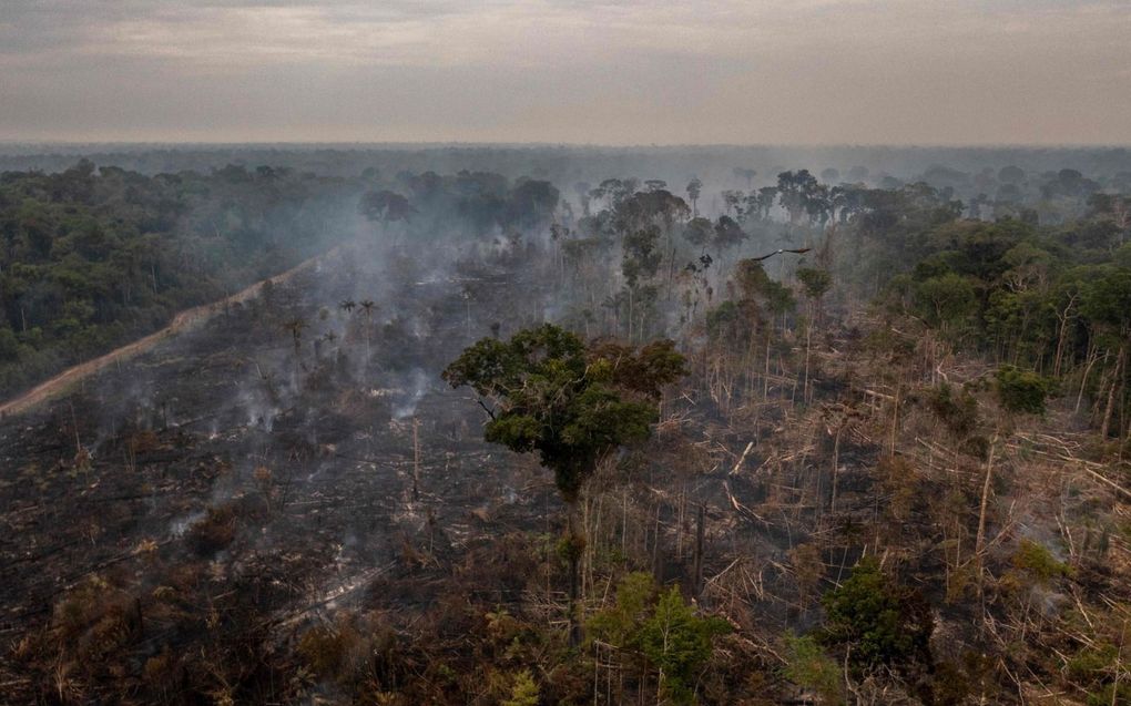 Platgebrand stuk van het Amazonewoud in Brazilië, 2017. beeld AFP, Mauro Pimentel