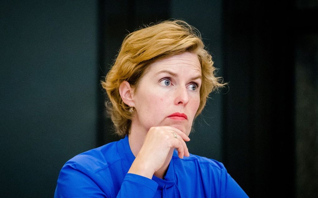 CDA-Kamerlid Hilde Palland. beeld ANP, Bart Maat