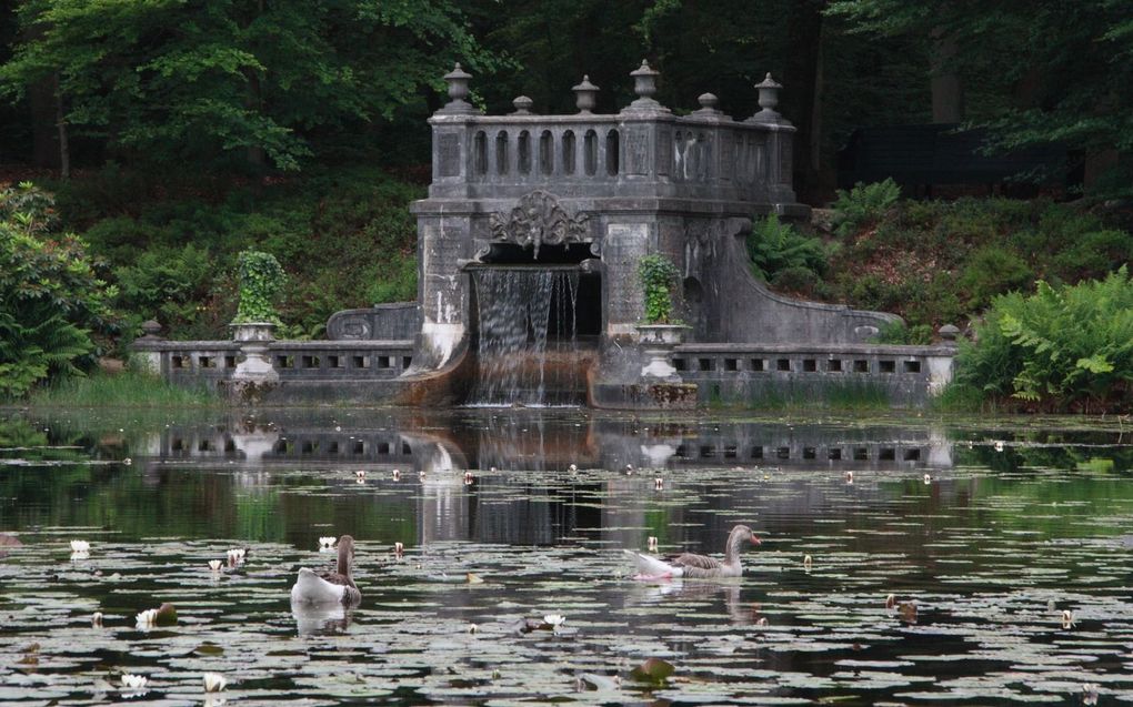 Waterpartij in het Paleispark. beeld Willemien van de Ridder