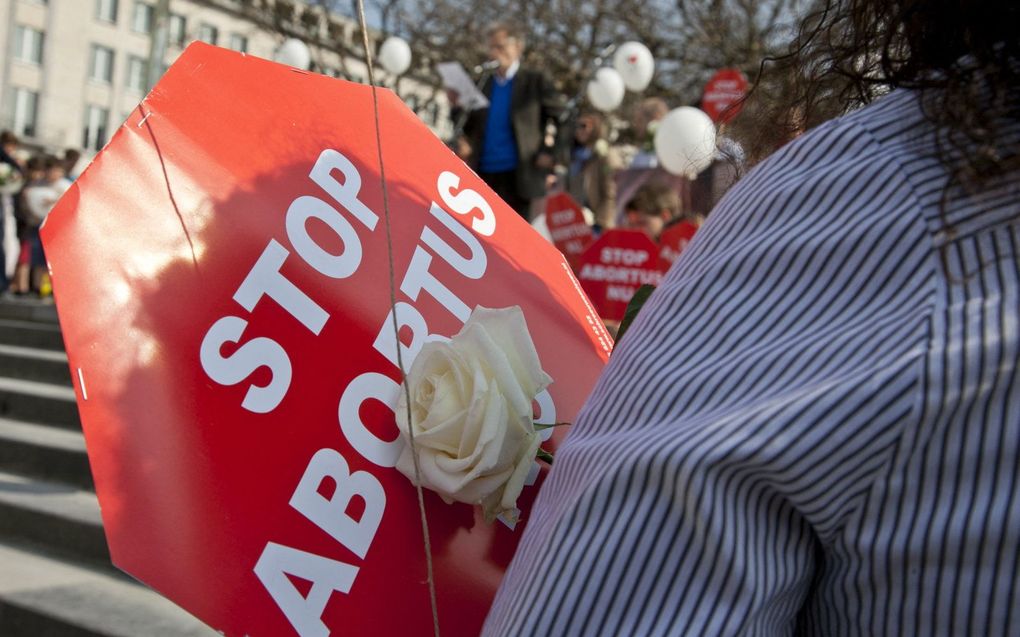 beeld AFP, Belga, Olivier Vin