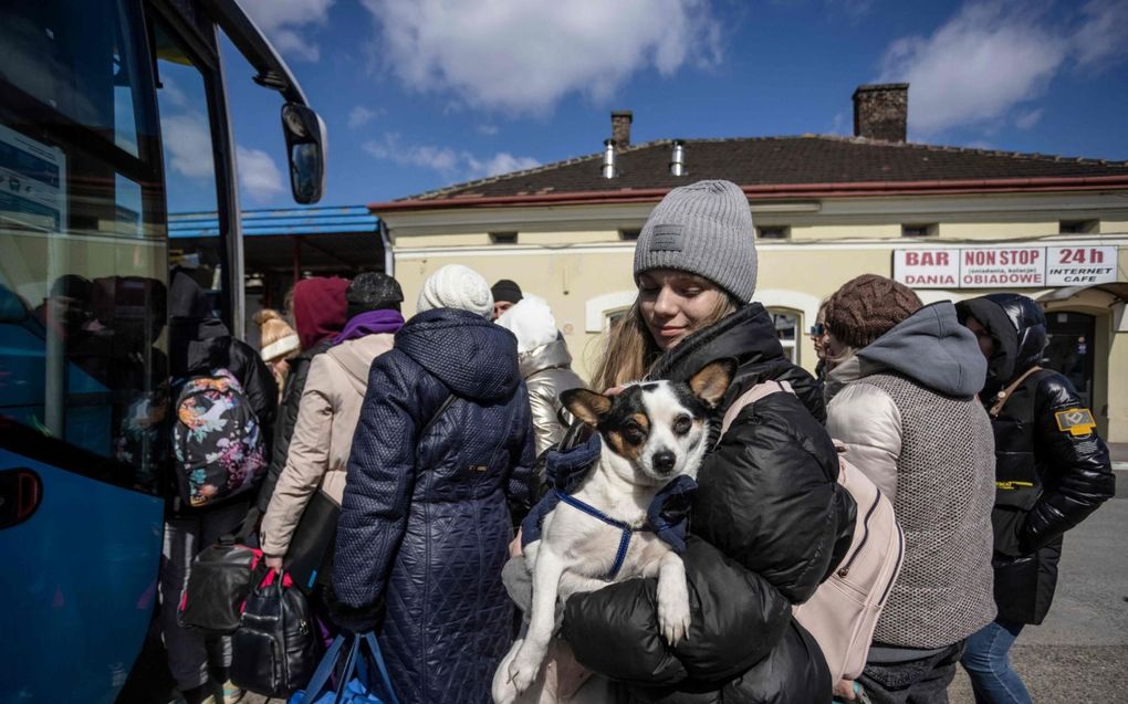 Oekraïners stappen in Polen op de bus naar Spanje. De mensen op de foto hebben niets met het verhaal te maken. beeld AFP, Wojtek Radwanski