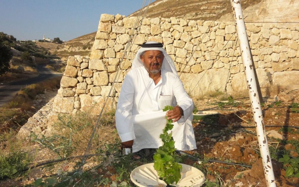 In Jordanië plant Groasis met de Waterboxx druivenstekjes in droge woestijngrond. beeld Groasis