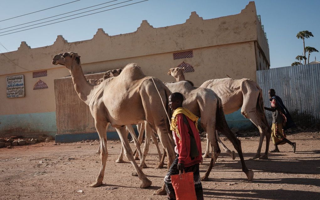 Baidoa, Somalië. beeld AFP, YASUYOSHI CHIBA