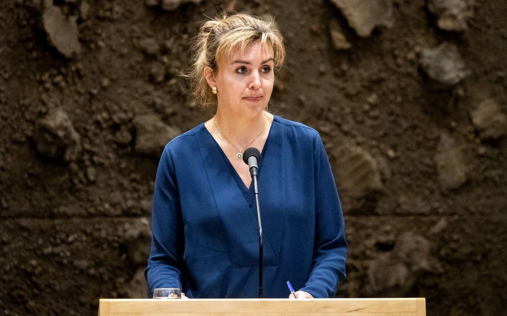 Staatssecretaris Heijen. beeld ANP, Sem van der Wal