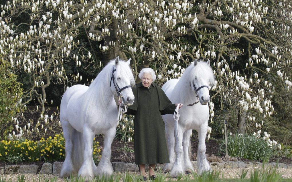 beeld AFP, Royal Winsor Horse Show, Henry Dallal