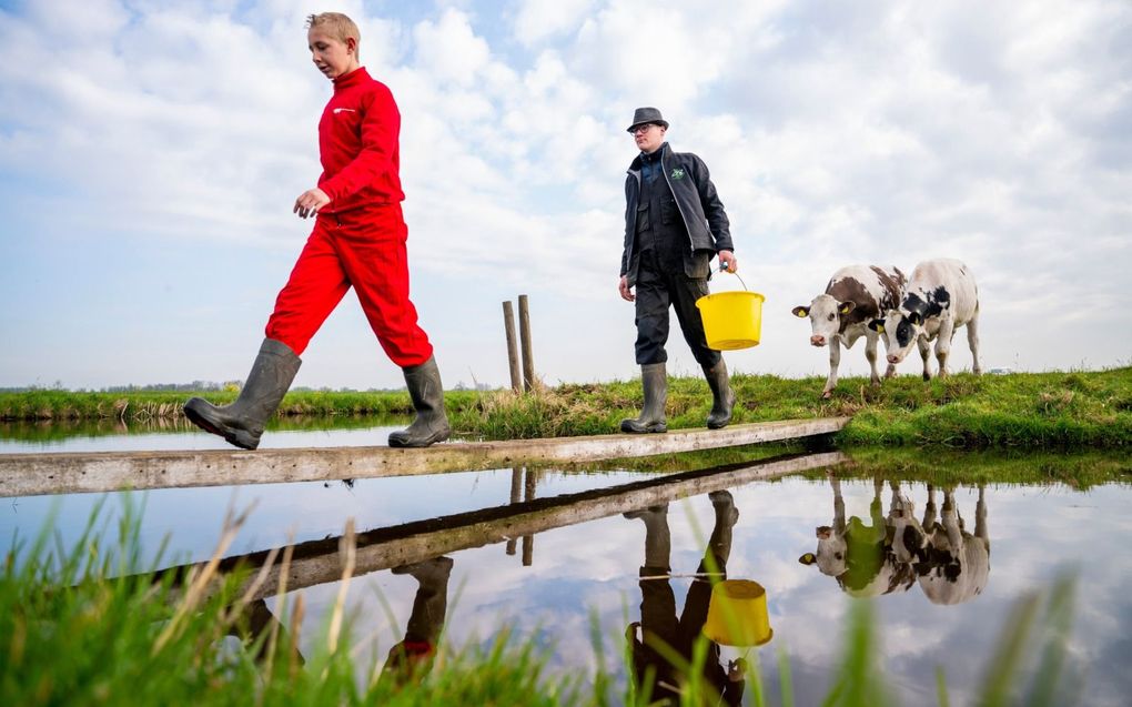 beeld Cees van der Wal