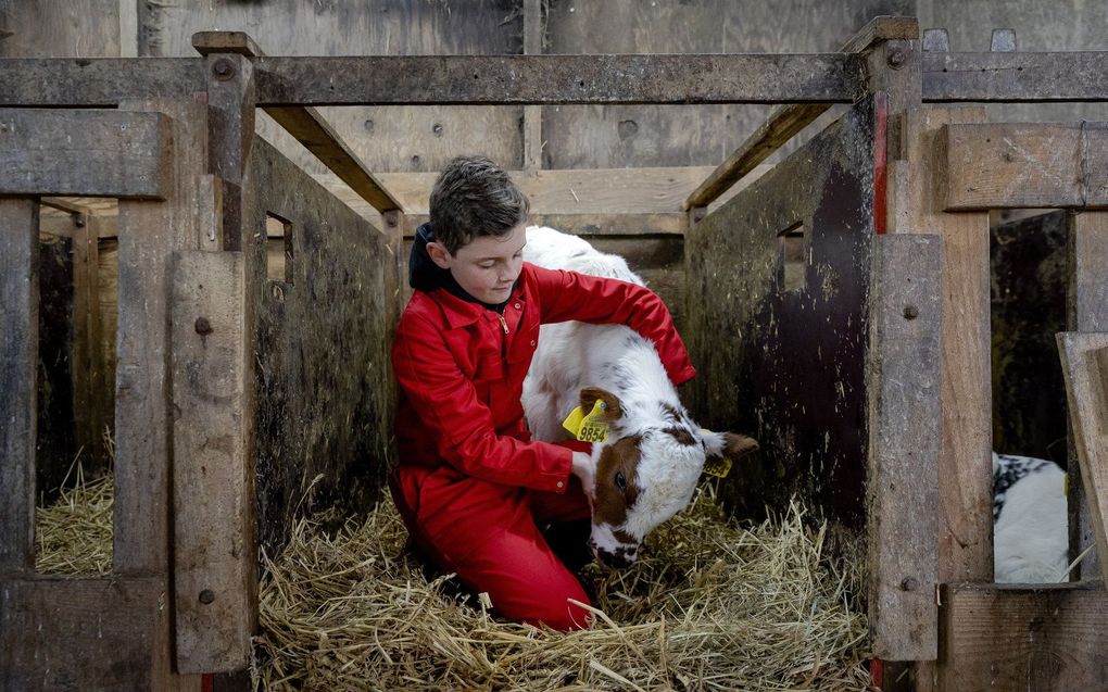 beeld ANP, Robin van Lonkhuijsen