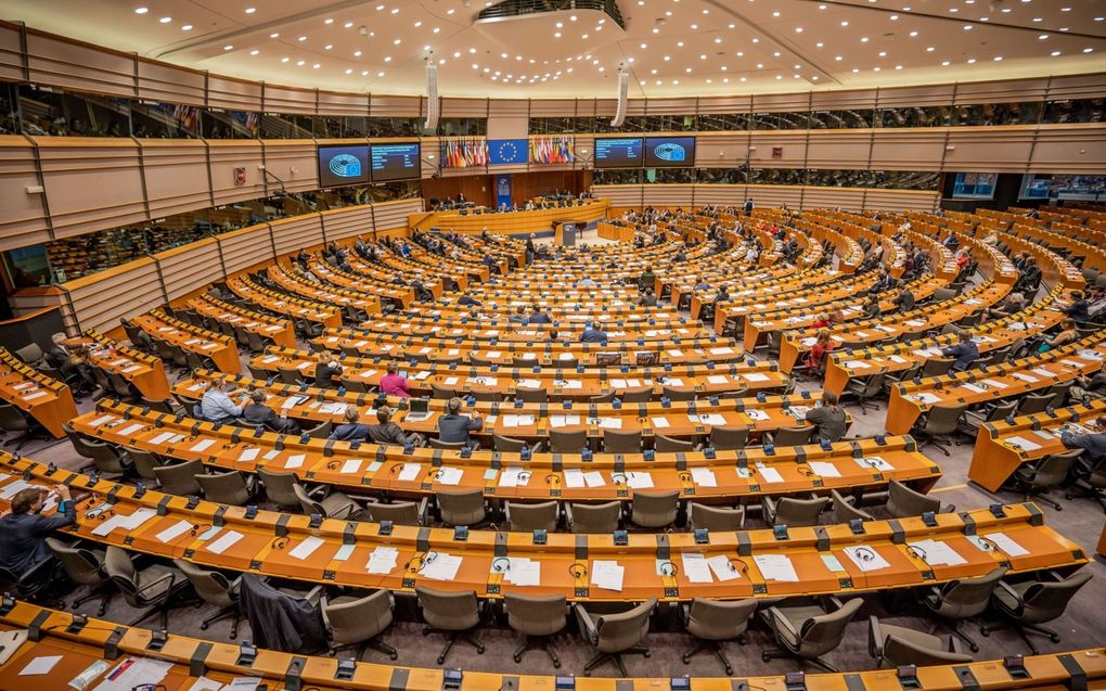 Het Europees Parlement in Brussel bijeen. beeld DPA, Michael Kappeler