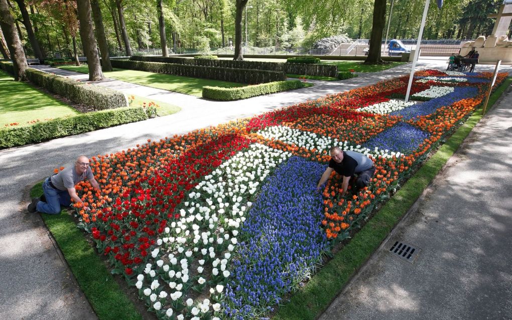 Twee beheerders van het militair ereveld De Grebbeberg halen het laatste onkruid weg uit het bloemenmozaïek in aanloop naar de plechtigheden op 4 en 5 mei. beeld VidiPhoto