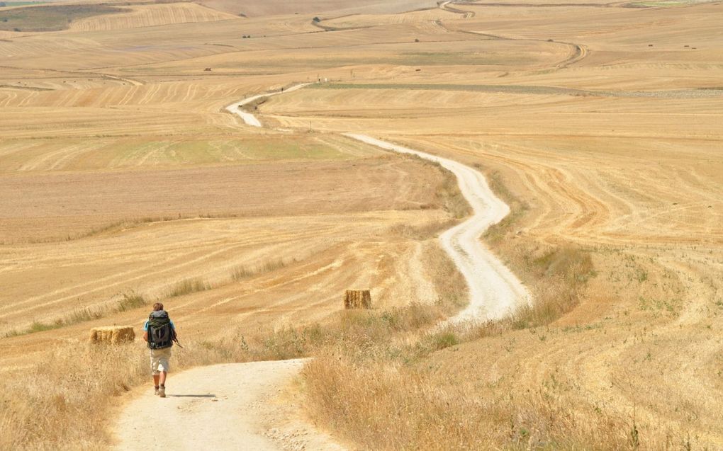 „Tradtioneel christendom zal geen Insta-hit worden maar wel helpen om de lange en vruchtbare wedloop te lopen, evenals de vele heiligen die ons al tweeduizend jaar daarin voorgaan.“ beeld Getty images