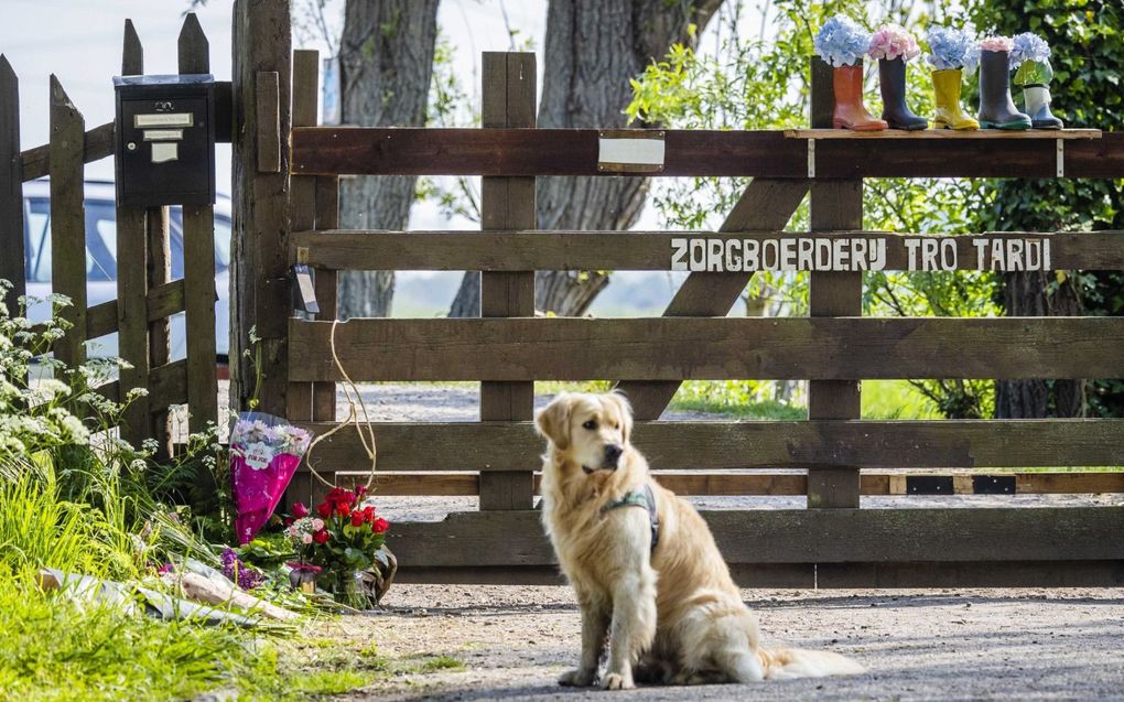 Een van de honden van de zorgboerderij Tro Tardi bij de bloemen bij de ingang van de zorgboerderij in Alblasserdam. beeld ANP, Jeffrey Groeneweg