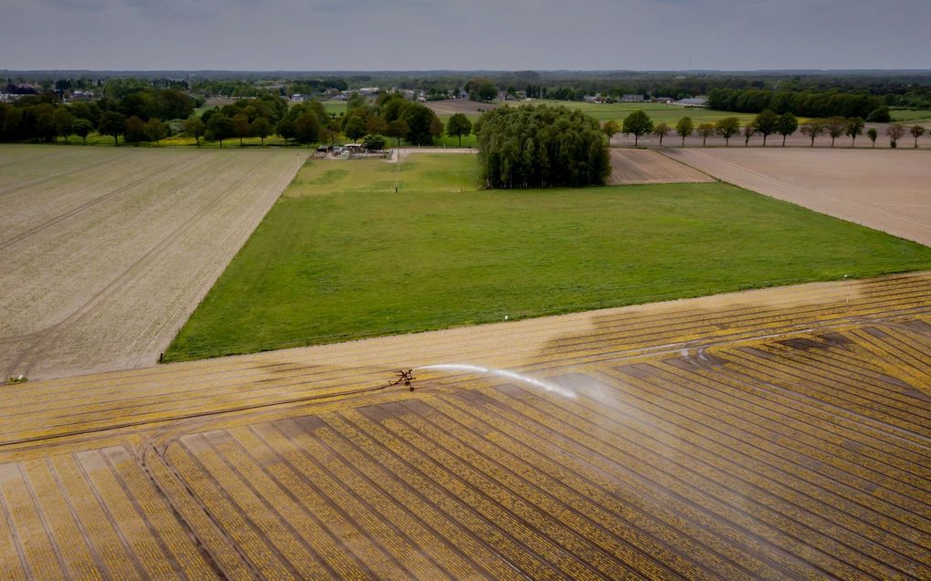 Landbouwers besproeien hun akkers in het zuiden van Brabant. beeld ANP, ROBIN VAN LONKHUIJSEN