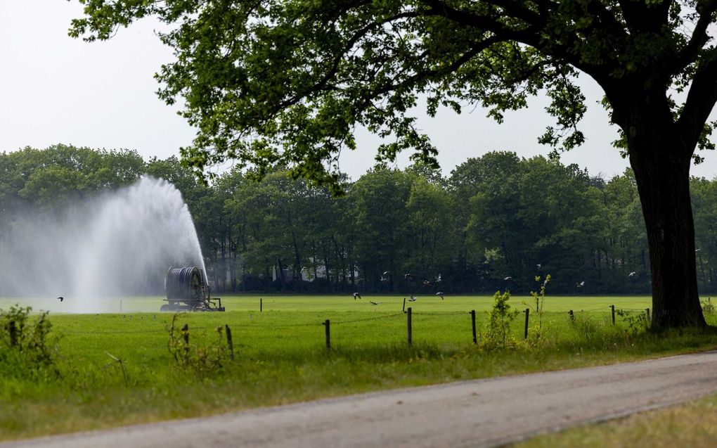 Het heeft al weken niet of nauwelijks geregend. beeld ANP, Robin van Lonkhuijsen