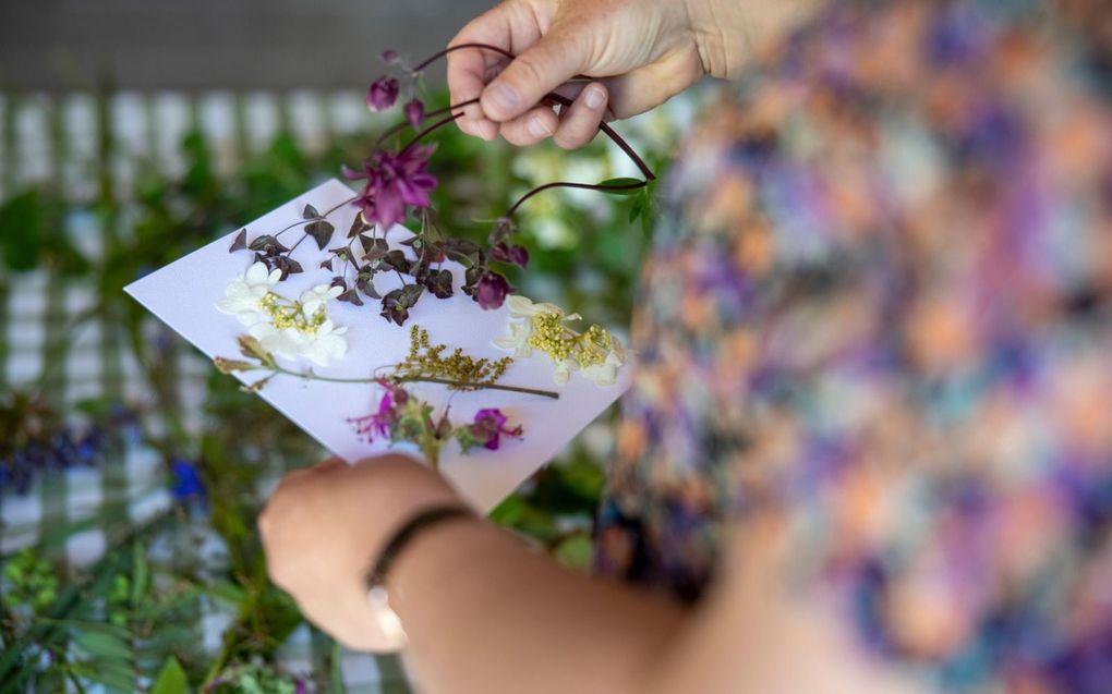 Bloemen selecteren een compositie maken voor de cyanotype. beeld Jaco Hoeve