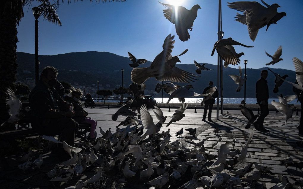 Samos. beeld AFP, Alain Jocard