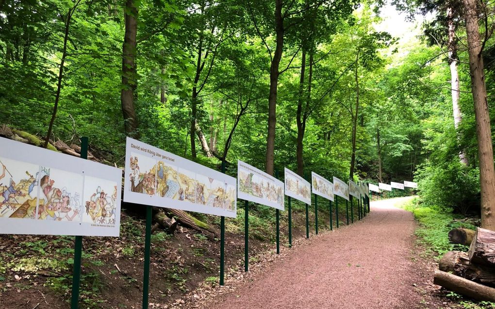 Op weg naar de Wartburg kunnen wandelaars deze maanden de hele Bijbel in afbeeldingen zien. beeld RD