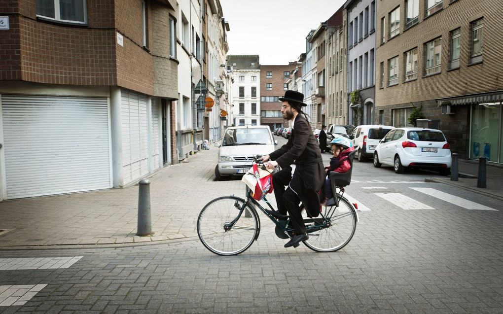 „Er treedt bij het publiek gewenning op bij berichten over FVD en antisemitisme”, zegt prof. dr. Bart Wallet, hoogleraar Joodse studies. Foto: een Joodse man in Antwerpen. beeld RD, Henk Visscher