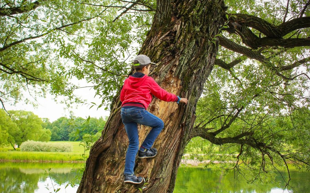 „Hopelijk leren reformatorische kinderen de weg via sloot en modderpad en niet via Google en Facebook.” beeld iStock