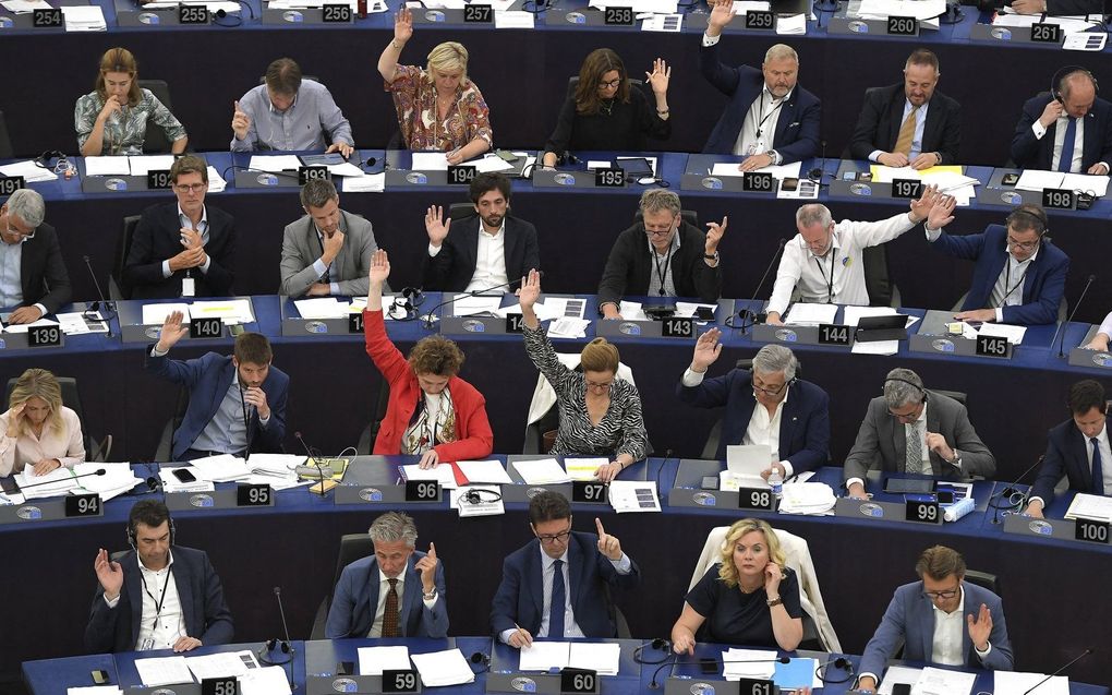 Leden van het Europees Parlement nemen in Straatsburg deel aan een stemming. beeld AFP, Frederick Florin