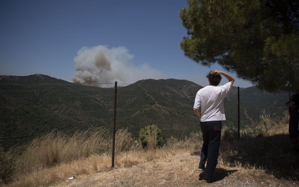 Bosbranden in de buurt van Malaga, vorige week. beeld AFP, JORGE GUERRERO