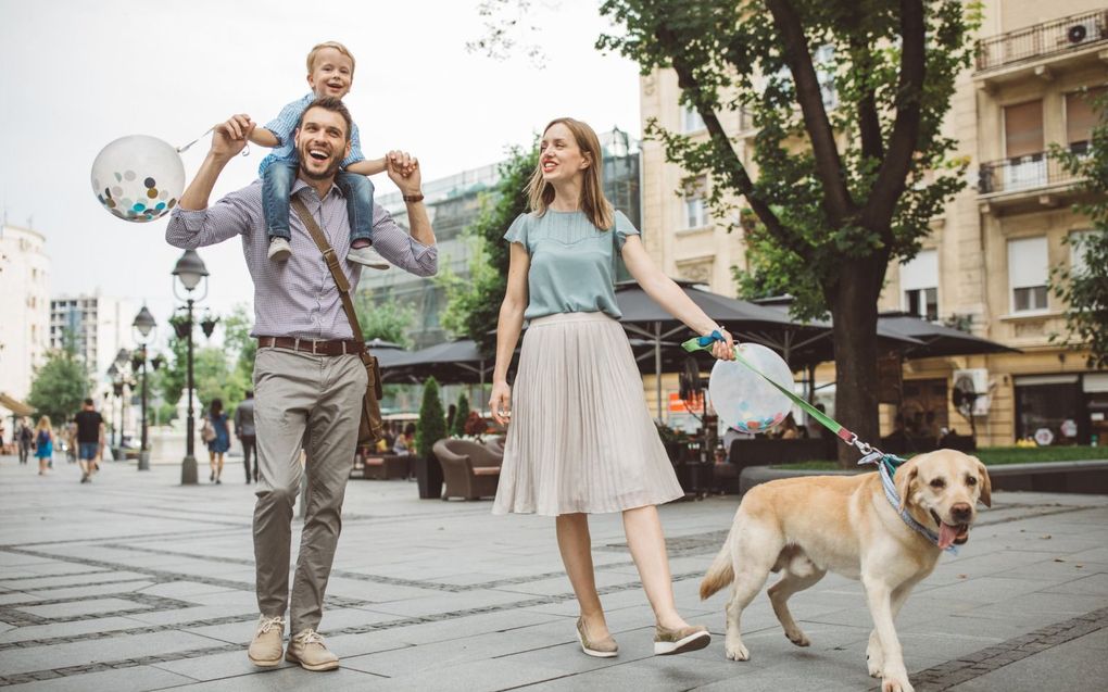 „Al langer speelt de discussie of we aan dieren ook een bepaalde juridische status moeten toekennen, net als de mens die heeft.” beeld iStock