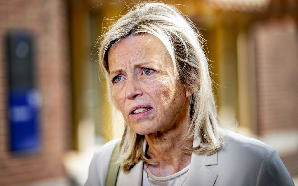 Minister van Defensie Kajsa Ollongren. beeld ANP, ROBIN UTRECHT