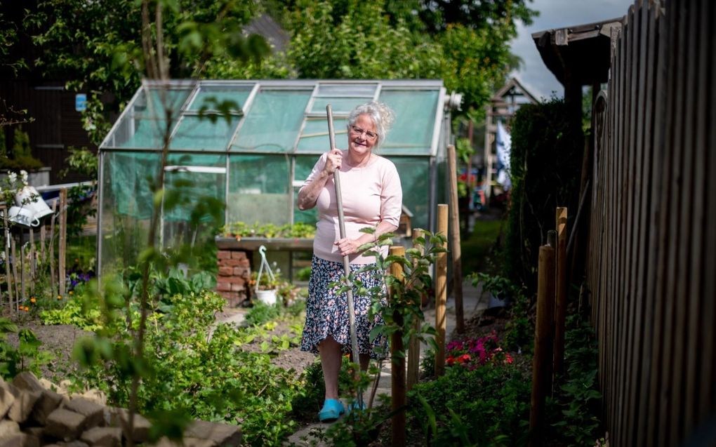 Tjitske Visser kweekt in haar tuin groente, fruit en bloemen. Ze is ’s zomers zelfvoorzienend. En wat over is, verkoopt de Friezin. beeld Hoge Noorden, Jacob Van Essen