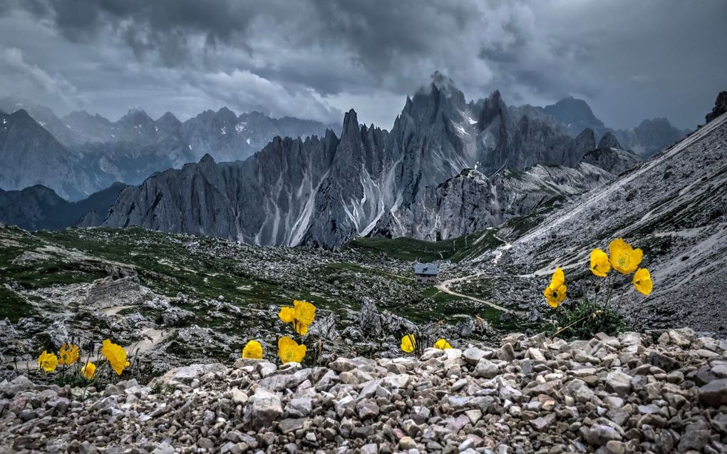 „Satan en allen die met hem heulen, hebben altijd alles in het werk gesteld om de paradijsbloemen die ons in Gods algemene goedheid gelaten zijn nog verder te ontluisteren.” beeld iStock