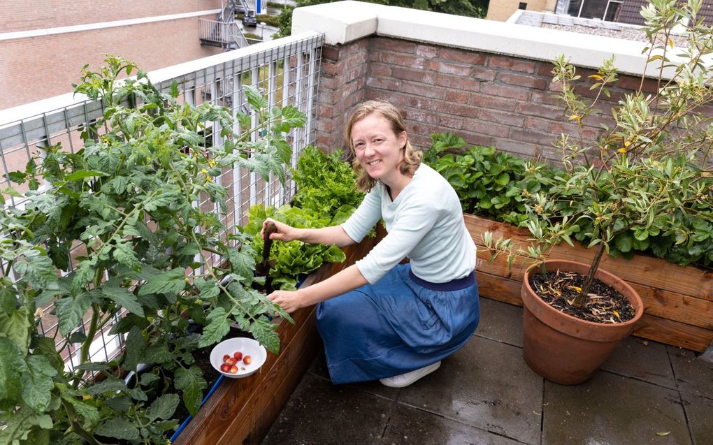 De aardbeien zijn rijp en de tomatenplanten bloeien. Gerrineke Nieuwenhuis kweekt van alles op het balkon van haar appartement in Gouda. beeld RD, Anton Dommerholt