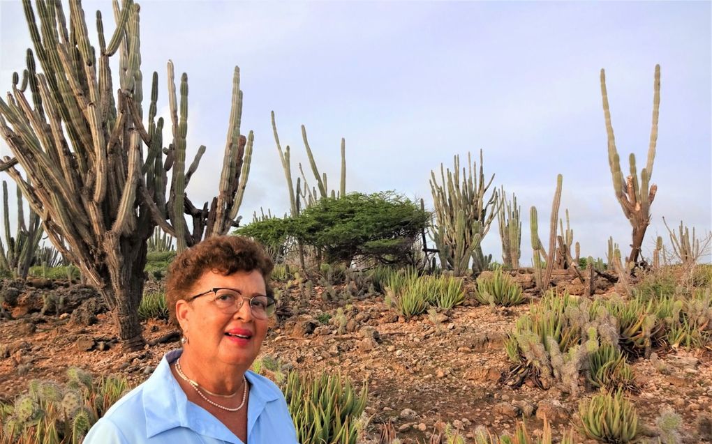 Ellen Herrera (70): „In 1890 kocht mijn overgrootvader de plantage en liet er een beheerderswoning op bouwen.” beeld Marius Bremmer