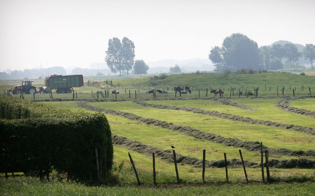 beeld RD, Henk Visscher