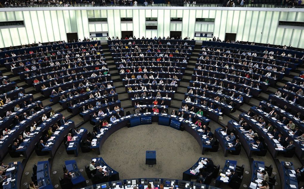 Het Europees Parlement. beeld AFP, Patrick Hertzog