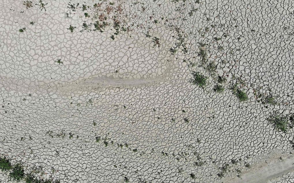 Droogte in Italië. beeld AFP, Marco Sabadin