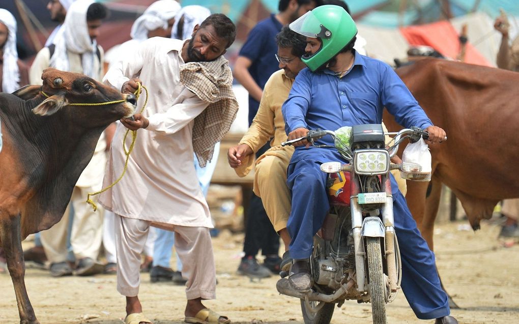 Moslims in Pakistan, beeld AFP