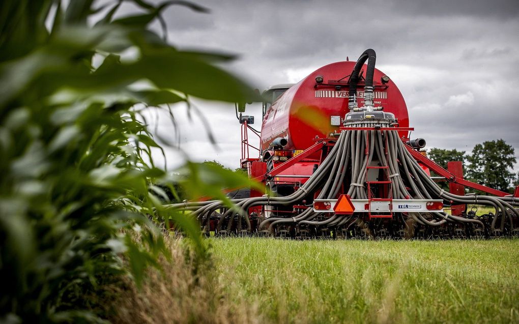 Een loonwerker uit het Gelderse Almen (gemeente Lochem) rijdt met een zogeheten zodebemester mest uit op grasland in het naburige Joppe. beeld ANP, Koen van Weel