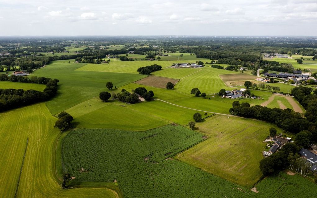 „De Gelderse Vallei kent een forse ondernemerskracht en een groot innovatievermogen bij allerlei (agrarische) ondernemers.” beeld ANP, Sem van der Wal