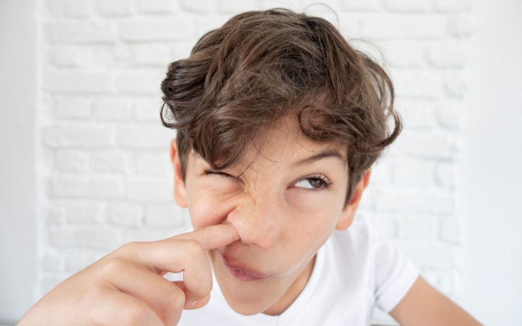 De slijmerige beschermlaag gaat door frequent neuspeuteren kapot, waardoor de slijmvliezen geïnfecteerd kunnen raken. beeld Getty Images